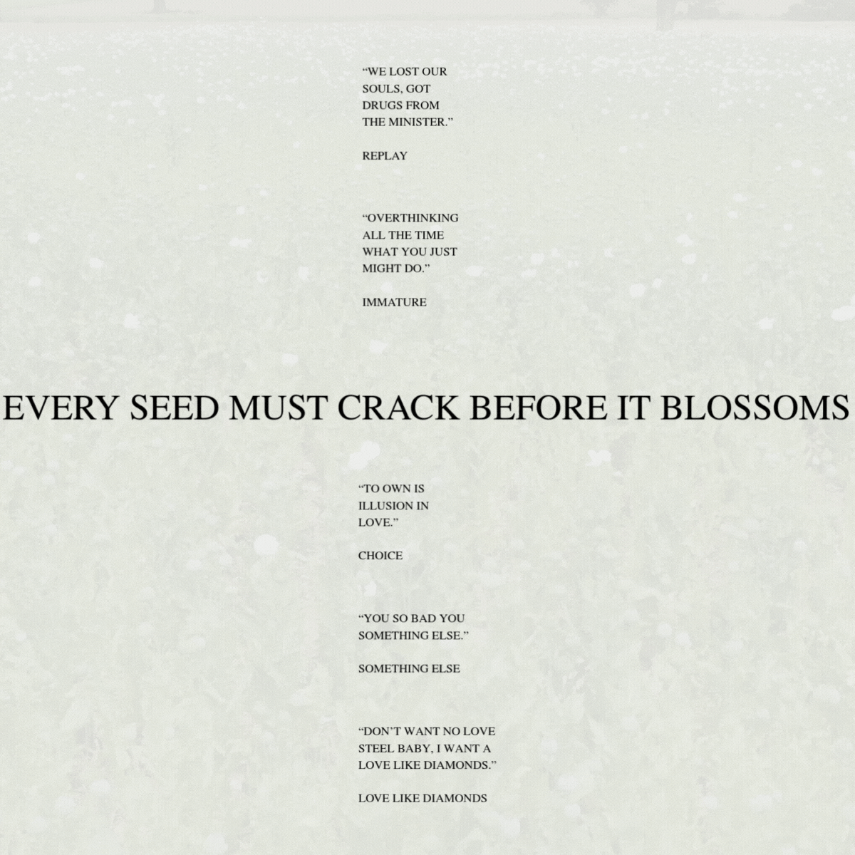 Album Notes